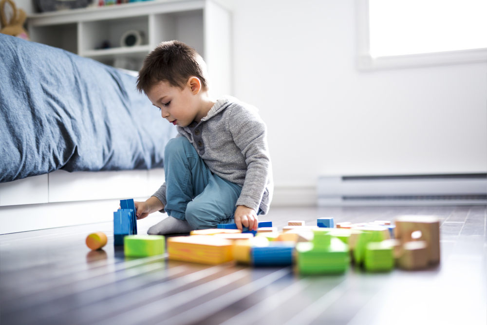 Child Support Lawyer in Ormond Beach Florida